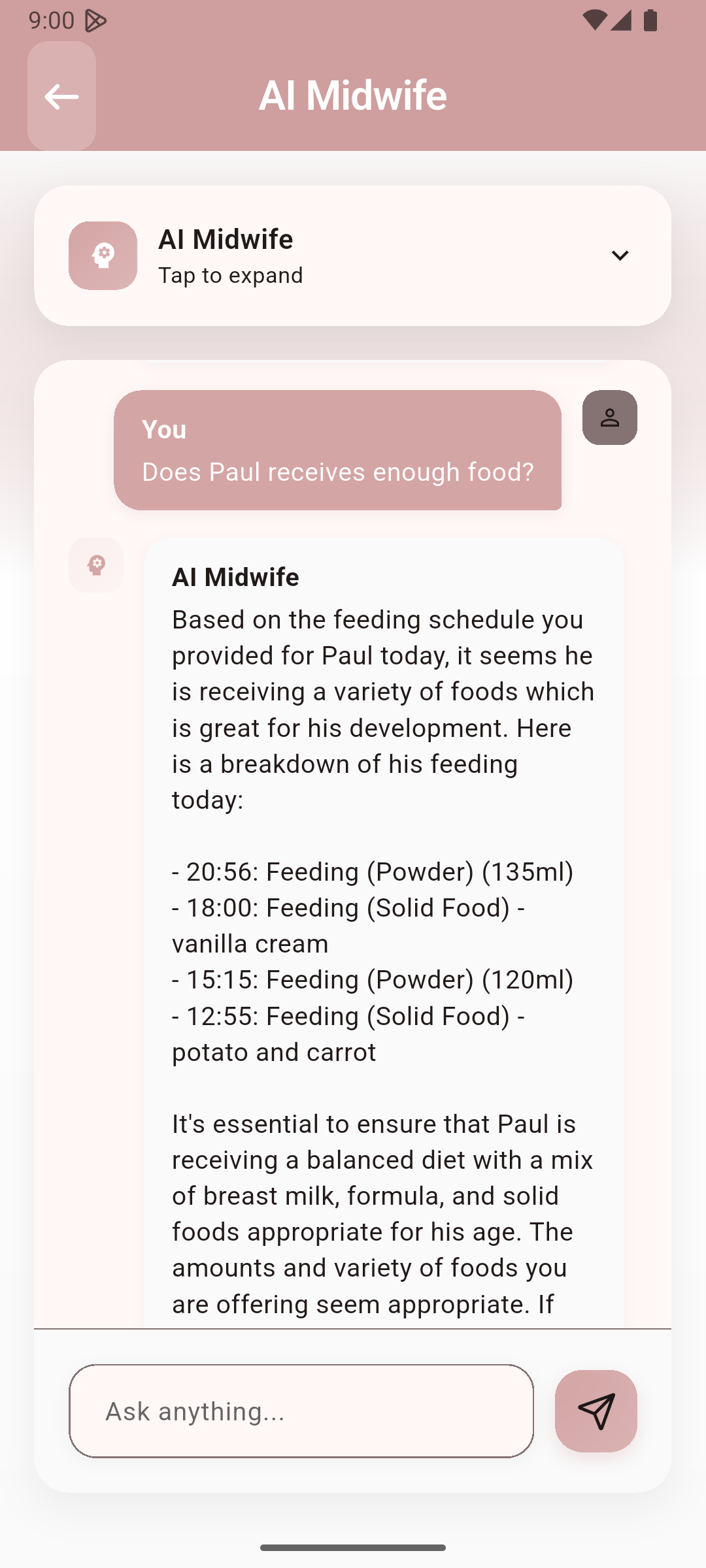 AI Midwife Chat Interface